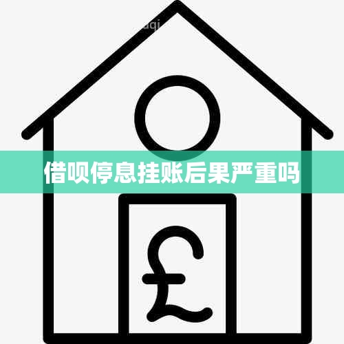 网贷停息挂账后果严重吗