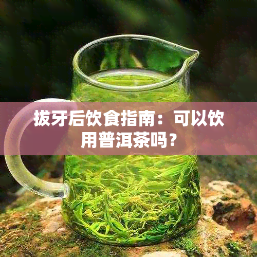 拔牙后饮食指南：可以饮用普洱茶吗？