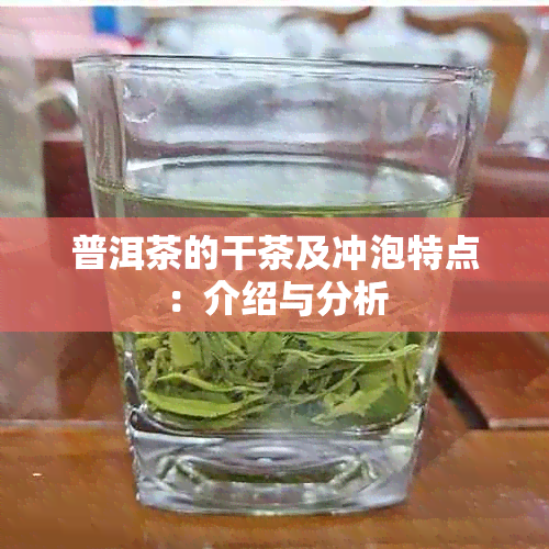 普洱茶的干茶及冲泡特点：介绍与分析