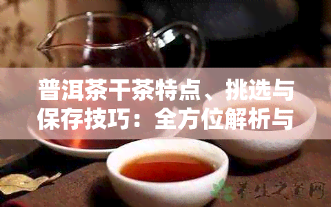 普洱茶干茶特点、挑选与保存技巧：全方位解析与指南
