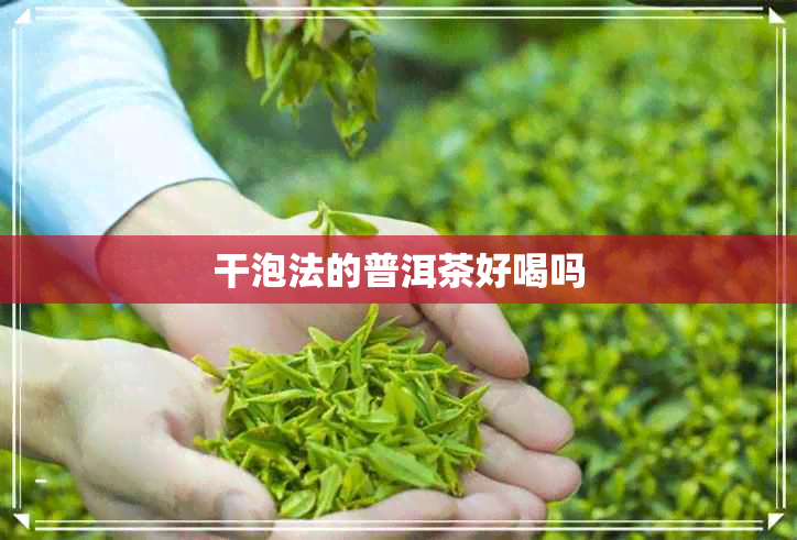 干泡法的普洱茶好喝吗