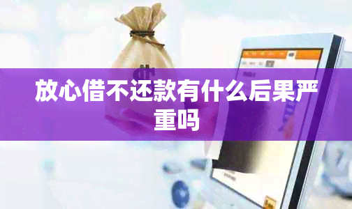 放心借不还款有什么后果严重吗