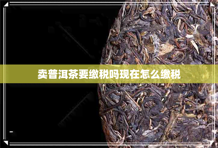 卖普洱茶要缴税吗现在怎么缴税