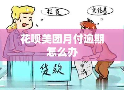 信用卡美团月付逾期怎么办