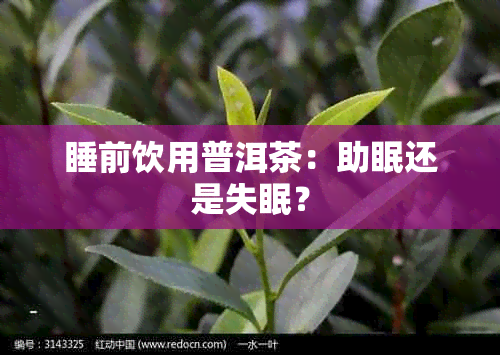 睡前饮用普洱茶:助眠还是失眠?