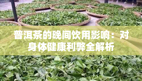 普洱茶的晚间饮用影响:对身体健康利弊全解析