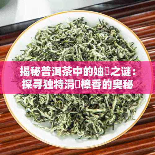 揭秘普洱茶中的妯熼之谜：探寻独特涓庢樟香的奥秘