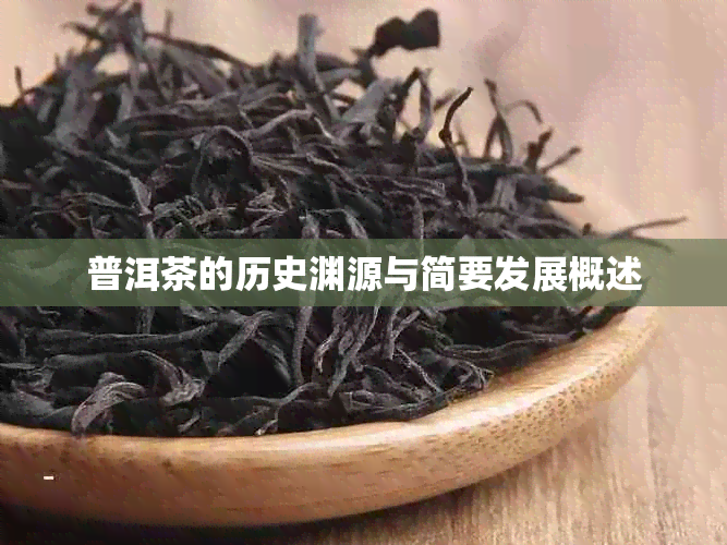 普洱茶的历史渊源与简要发展概述
