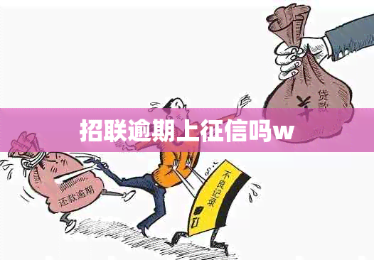 招联逾期上吗w