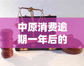 中原消费逾期一年后的处罚措施及影响分析