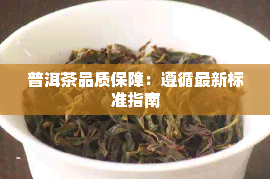 普洱茶品质保障：遵循最新标准指南