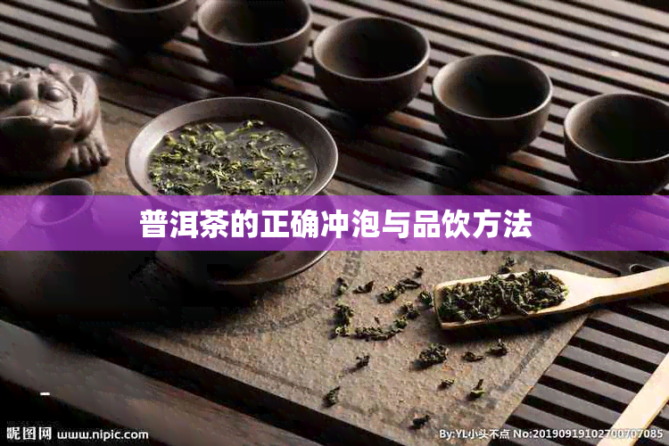 普洱茶的正确冲泡与品饮方法