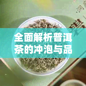 全面解析普洱茶的冲泡与品饮方法:从选购到储存全攻略