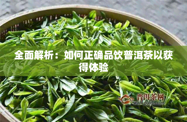 全面解析:如何正确品饮普洱茶以获得体验