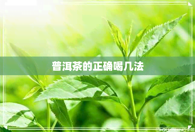 普洱茶的正确喝几法 普洱茶的正确喝几法