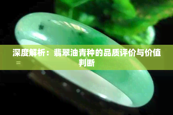 深度解析：翡翠油青种的品质评价与价值判断