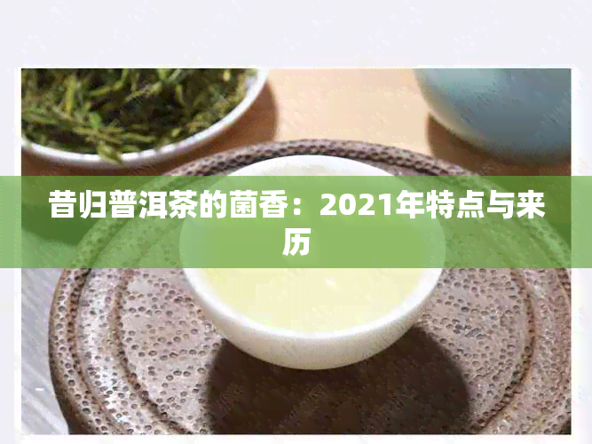 昔归普洱茶的菌香：2021年特点与来历
