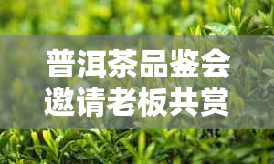 普洱茶品鉴会邀请老板共赏