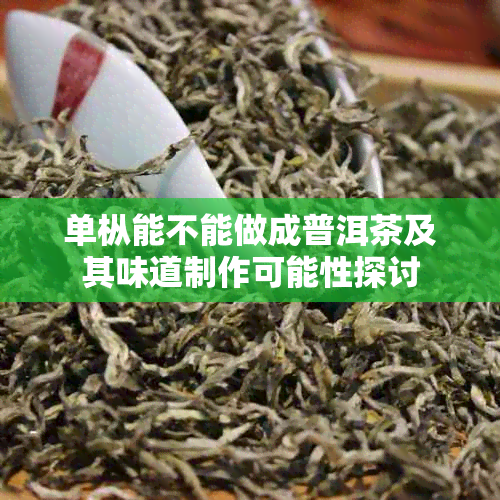单枞能不能做成普洱茶及其味道制作可能性探讨