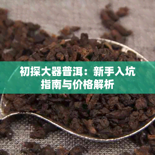 初探大器普洱:新手入坑指南与价格解析