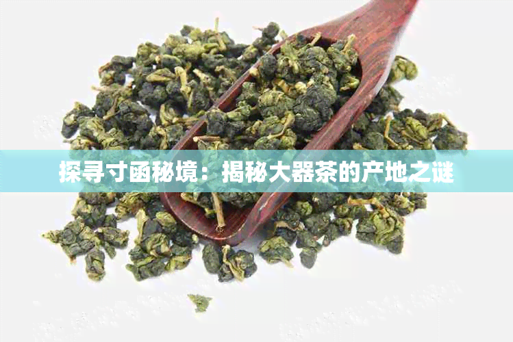 探寻寸函秘境:揭秘大器茶的产地之谜
