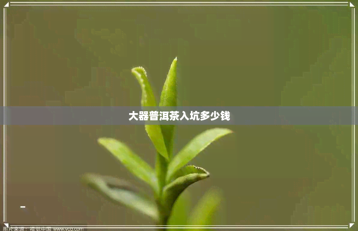大器普洱茶入坑多少钱 大器普洱茶入坑多少钱