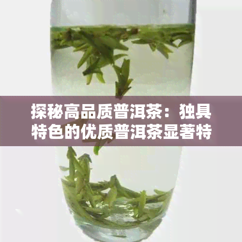 探秘高品质普洱茶：独具特色的优质普洱茶显著特征解析