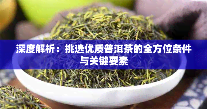 深度解析：挑选优质普洱茶的全方位条件与关键要素