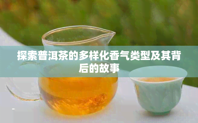 探索普洱茶的多样化香气类型及其背后的故事