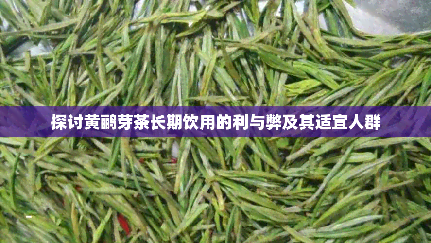 探讨黄鹂芽茶长期饮用的利与弊及其适宜人群