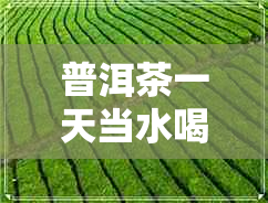普洱茶一天当水喝能减肥吗