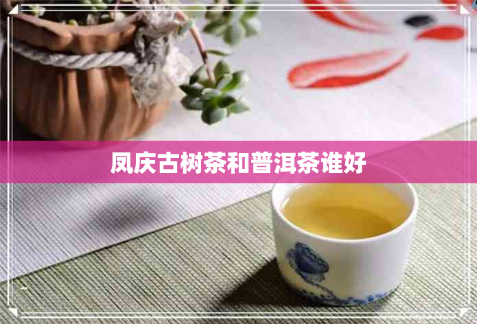 凤庆古树茶和普洱茶谁好