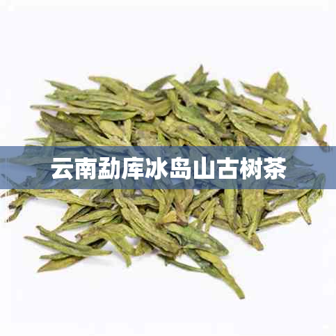 云南勐库冰岛山古树茶