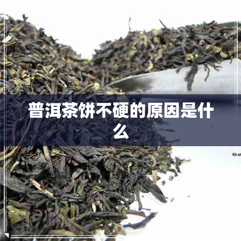 普洱茶饼不硬的原因是什么