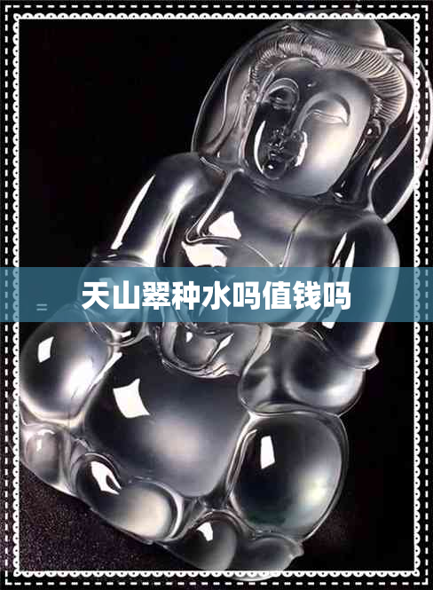 天山翠种水吗值钱吗