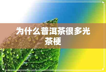 为什么普洱茶很多光茶梗