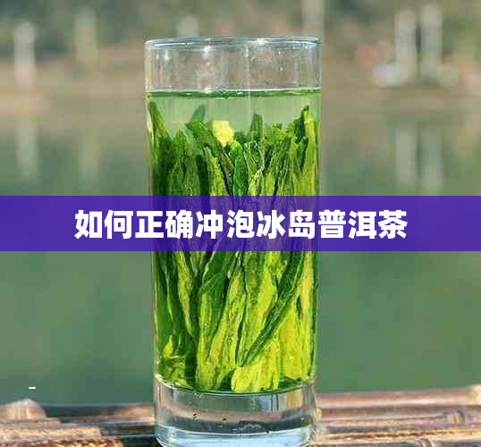 如何正确冲泡冰岛普洱茶