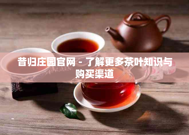 昔归庄园官网 - 了解更多茶叶知识与购买渠道