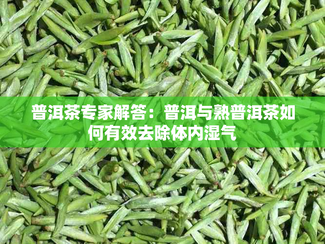 普洱茶专家解答：普洱与熟普洱茶如何有效去除体内湿气