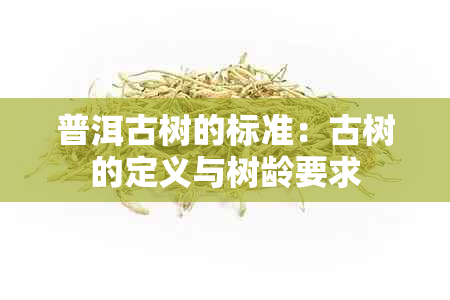 普洱古树的标准：古树的定义与树龄要求