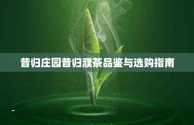 昔归庄园昔归濮茶品鉴与选购指南