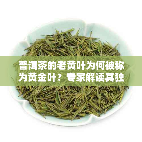 普洱茶的老黄叶为何被称为黄金叶?专家解读其独特价值