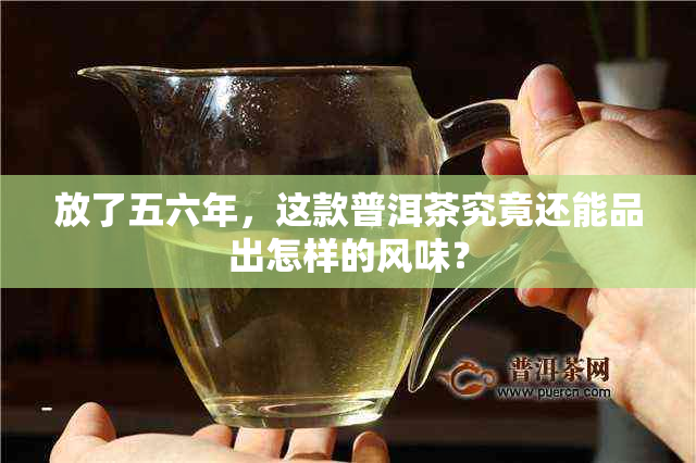 放了五六年,这款普洱茶究竟还能品出怎样的风味?