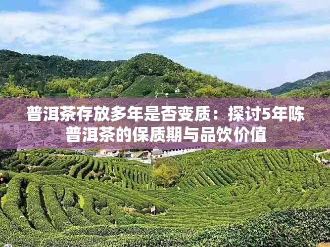 普洱茶存放多年是否变质:探讨5年陈普洱茶的保质期与品饮价值