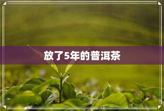 放了5年的普洱茶 放了5年的普洱茶