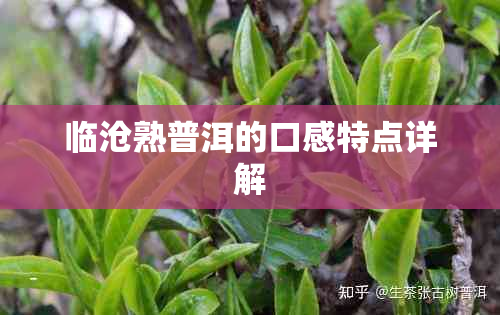 临沧熟普洱的口感特点详解