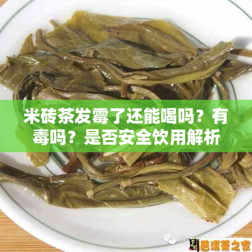米砖茶发霉了还能喝吗?有吗?是否安全饮用解析