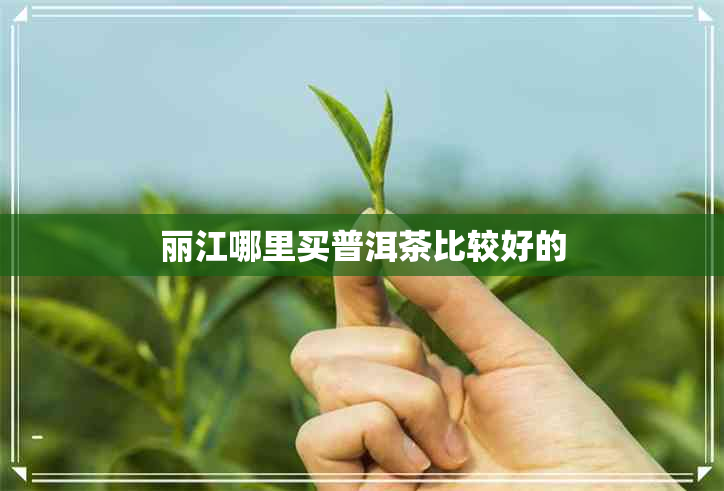 丽江哪里买普洱茶比较好的 丽江哪里买普洱茶比较好的