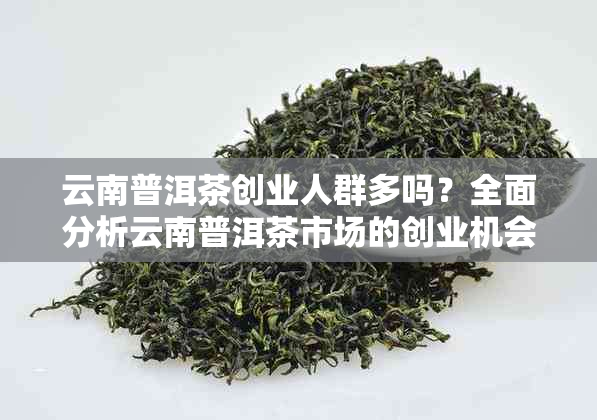 云南普洱茶创业人群多吗?全面分析云南普洱茶市场的创业机会与挑战