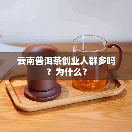 云南普洱茶创业人群多吗?为什么?